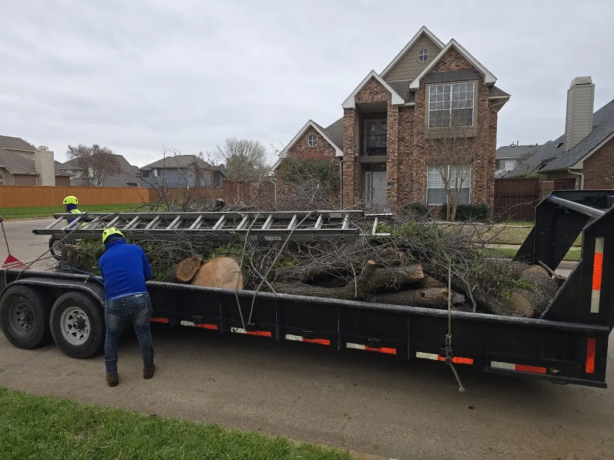 Expert Tree Fertilization with proper safety equipment in Counce